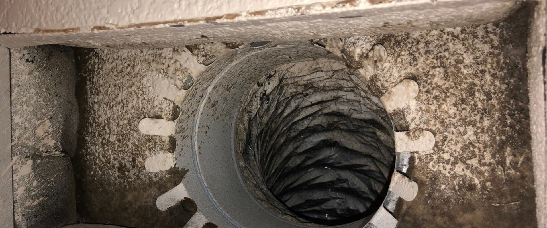 What are the Signs and Symptoms of Mold in Your Air Ducts?